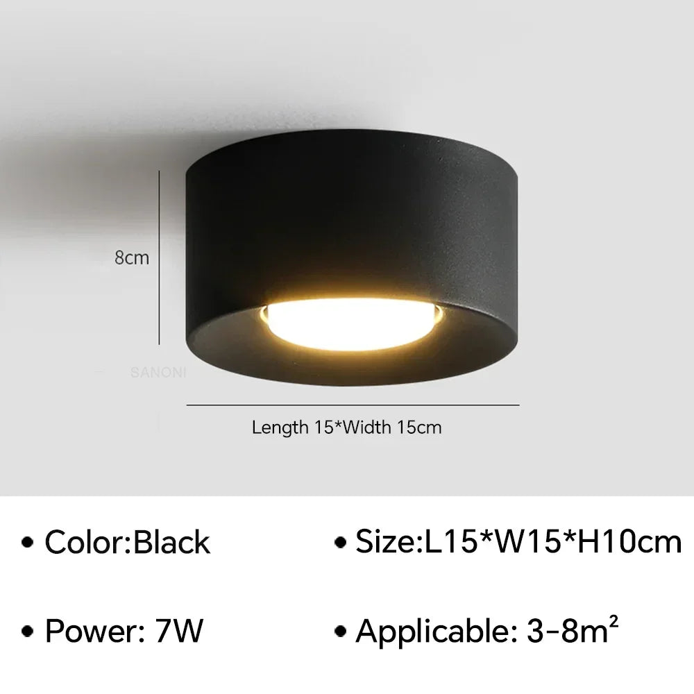 LED Ceiling Mounted Lights for Living Room Bedroom Hallway Corridor Modern Nordic Cylinder Minimalism Indoor Home Decoration