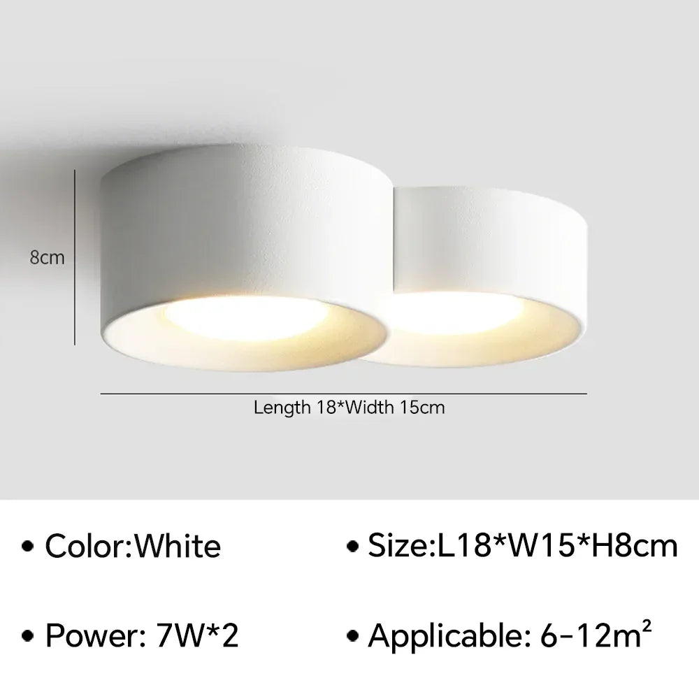 LED Ceiling Mounted Lights for Living Room Bedroom Hallway Corridor Modern Nordic Cylinder Minimalism Indoor Home Decoration