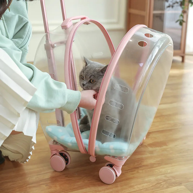 Pet Carrier Luggage Box for Small Animals Suitable for Cats Dogs And Reptiles Pet Transport Supplies
