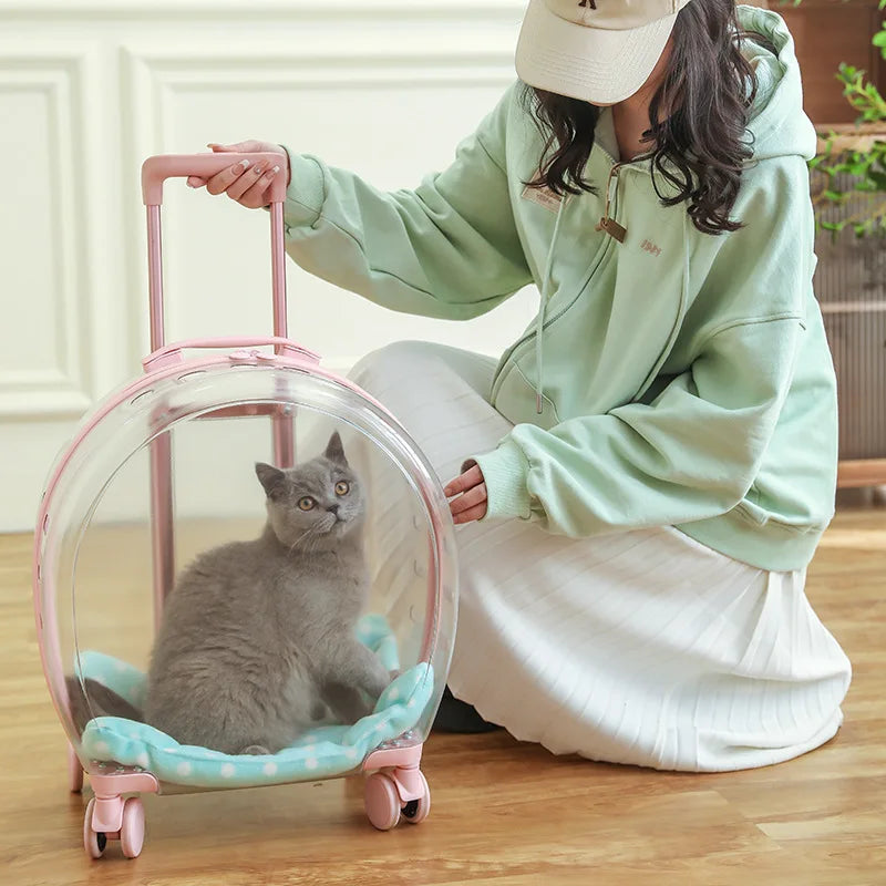 Pet Carrier Luggage Box for Small Animals Suitable for Cats Dogs And Reptiles Pet Transport Supplies