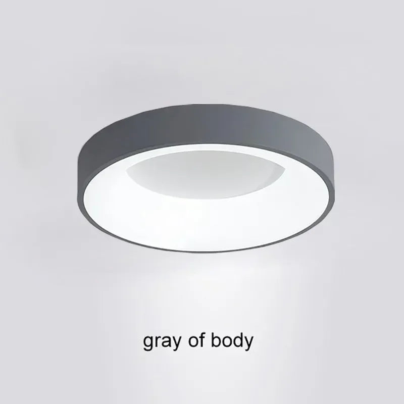 LED Modern Round Ceiling Lights 30/40/50/60 White Gray Home Decor Lamps For Bedroom Living Room Study Dining Rooms Light Lusters