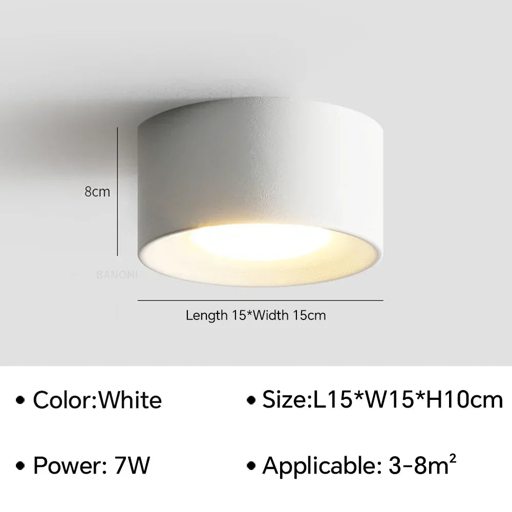 LED Ceiling Mounted Lights for Living Room Bedroom Hallway Corridor Modern Nordic Cylinder Minimalism Indoor Home Decoration