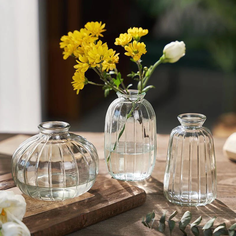 Clear Glass Vase Modern Decorative Small Flowers Vases Minimalist Floral Vases Aesthetic Home Decor Wedding Table Centerpieces