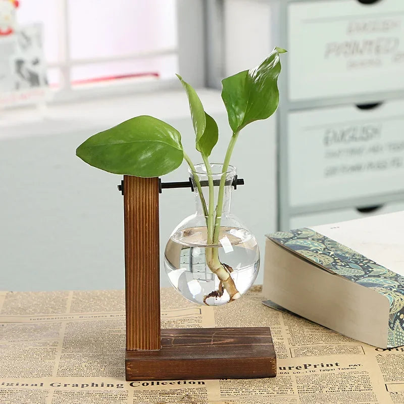 Replacement Vases Glass Bottle Accessories Home Decor  Vases Hydroponics Flower Transparent Glass Container