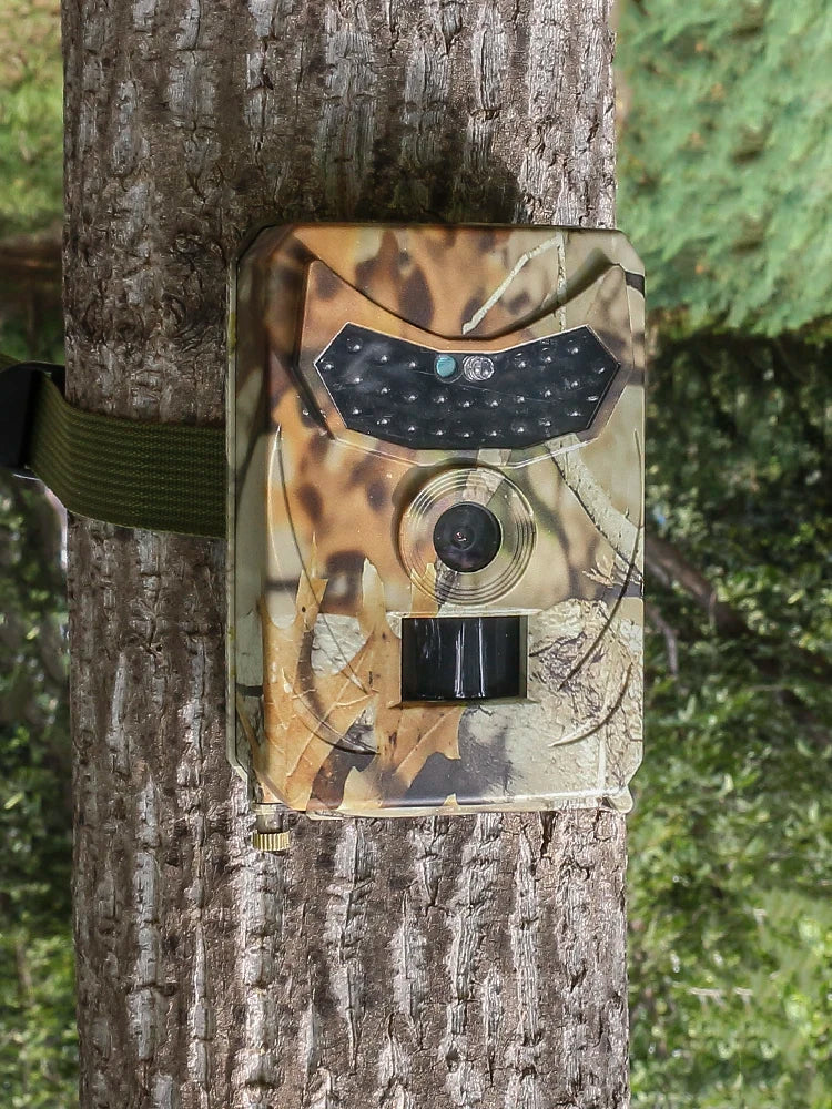 Outdoor Hunting Camera 12MP Wild Animal Detector Trail Camera HD Waterproof Monitoring Infrared Heat Sensing Night Vision