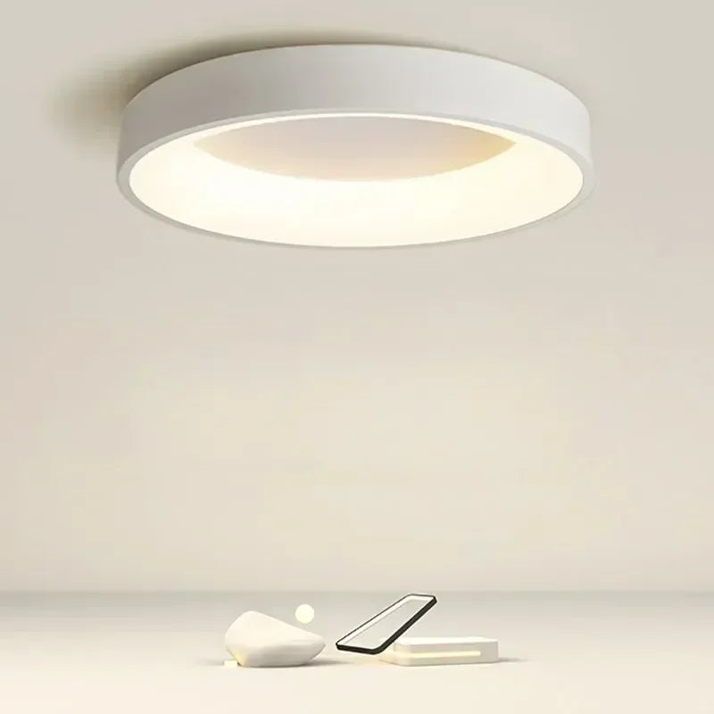 LED Modern Round Ceiling Lights 30/40/50/60 White Gray Home Decor Lamps For Bedroom Living Room Study Dining Rooms Light Lusters