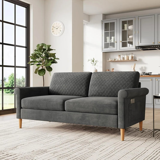 65" Loveseat, Comfy Small Couch,Mid Century Modern Decor Loveseat Sofa,Couches for Living Room,2-Seat Sofa Living Room Furniture