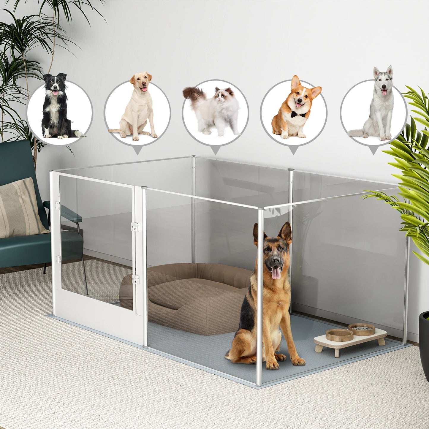 BingoPaw Acrylic Dog Playpen Fence Pet Clear Exercise Play Pen Whelping Box with Waterproof Fertility Pad for Cats, Puppies