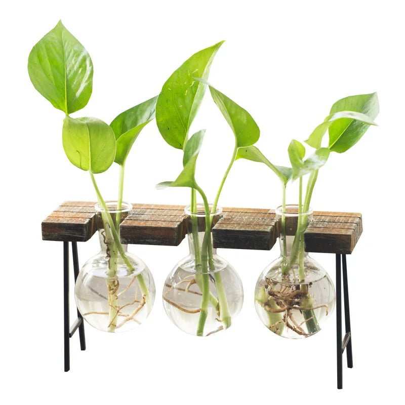 Replacement Vases Glass Bottle Accessories Home Decor  Vases Hydroponics Flower Transparent Glass Container