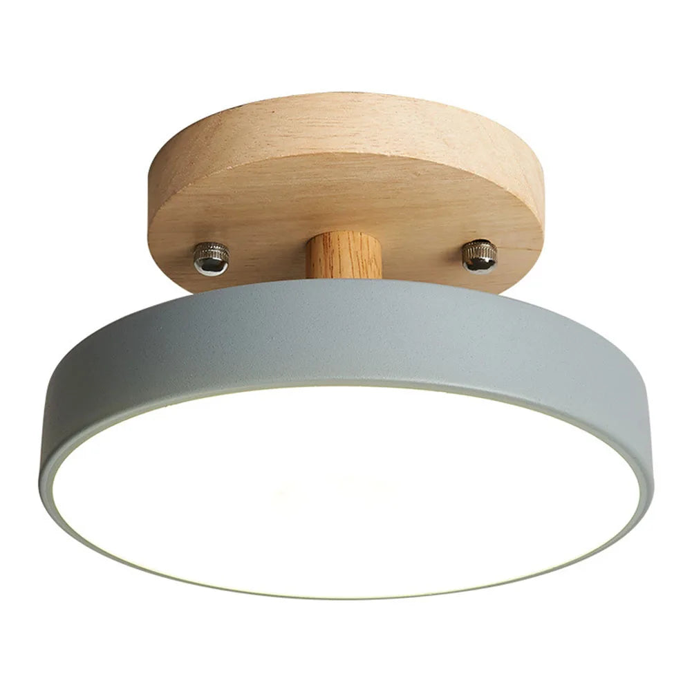 LED Indoor Ceiling Light Flush Mount Dimmable Energy Saving Protect Eyes Easy Installation for Bedroom Bathroom Corridor